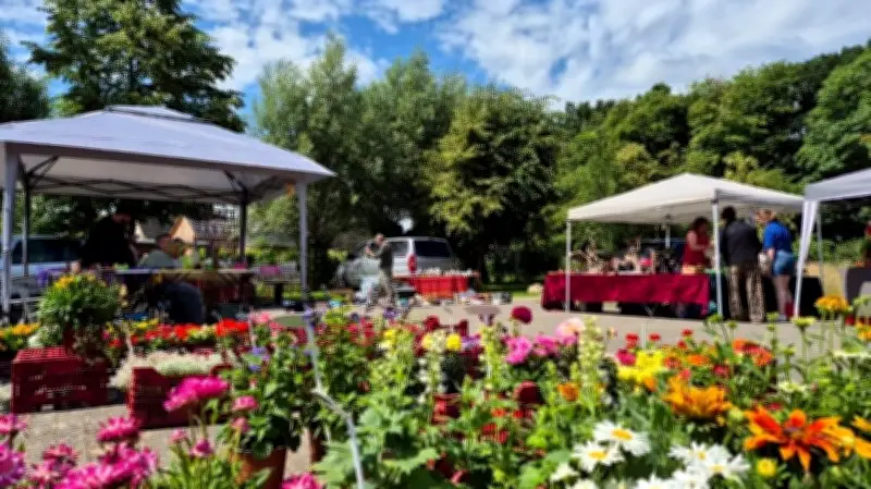Berge reduziert Wochenendmarkt auf vier Themenmärkte pro Jahr - Start mit Ostermarkt