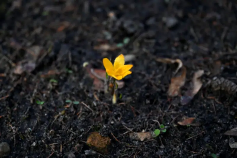Berlin und Brandenburg: Frühlingshafte Tage, frostige Nächte mit Glättegefahr