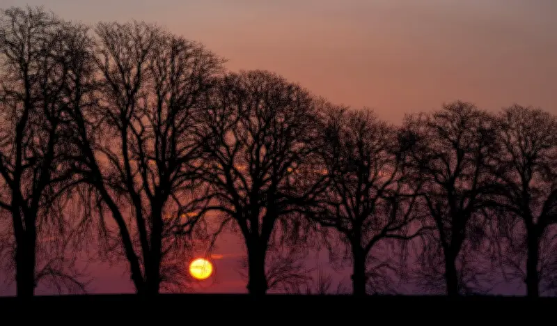 Berlin und Brandenburg: Frostige Nächte, frühlingshafte Tage mit bis zu 18 Grad