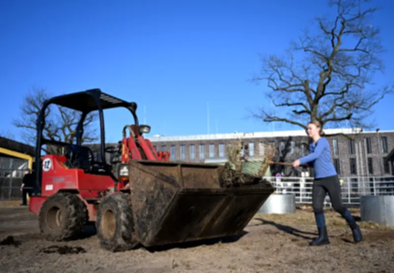 Berliner Reitverein fällt auf Fake-Verkauf herein: 17.000 Euro für nicht existierenden Radlader verloren