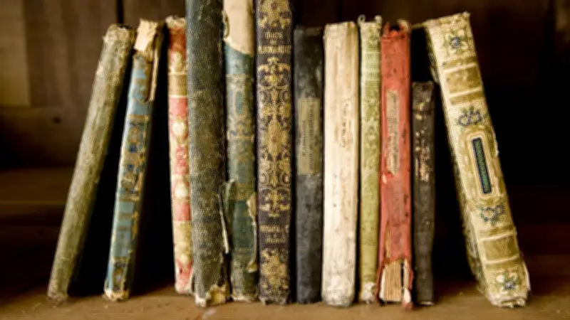 Betrügerbande ergaunert 11 Millionen Euro: Mindestens 370 ältere Opfer mit Bücher-Trick ausgenommen