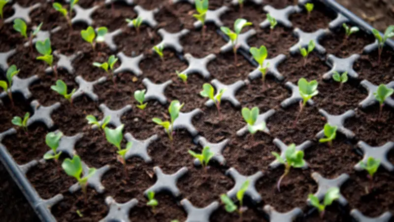 Bibliothek Altentreptow verleiht Saatgut: Neue Initiative für Artenvielfalt und ökologisches Gärtnern