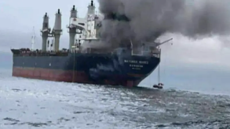 BILD-Video-Analyse: Erst angreifen, dann nach der EU rufen – eine kritische Betrachtung