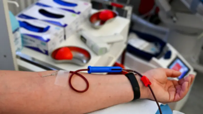 Blutspenden retten Leben und bringen Festivaltickets: DRK-Aktion in Mecklenburg-Vorpommern