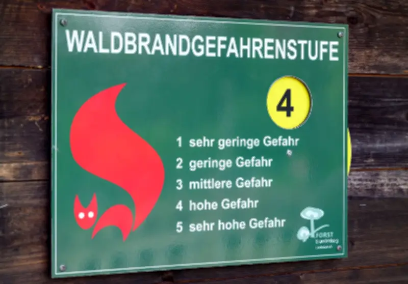 Brandenburg erreicht Waldbrandgefahrenstufe 4 – Menschliches Fehlverhalten als Hauptursache