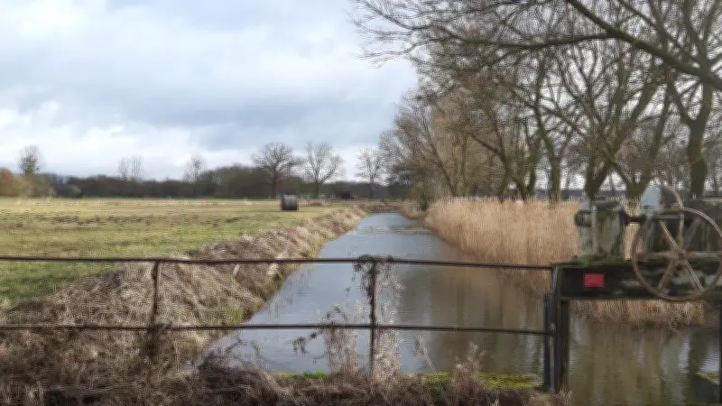 Brandenburg: Kontrolliertes Abflämmen schützt seltene Trockenrasen im Randowtal