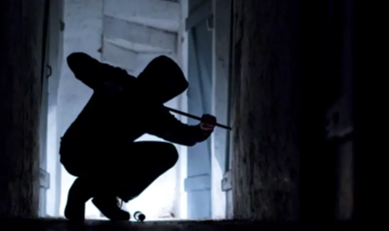 Brandenburgs Polizei gründet Spezialgruppe gegen organisierte Einbrecherbanden