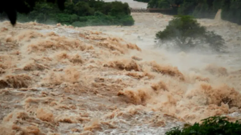 Brasilien: Unwetterkatastrophe bedroht Kaffeeernte - Preise könnten steigen