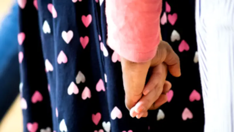 Brücke Boizenburg: Neues Projekt verbindet Generationen und stärkt Nachbarschaftshilfe