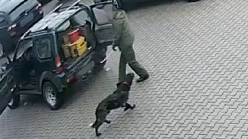 Brutale Tierquälerei auf Parkplatz: Jäger schlägt Hund im Kofferraum mit Stock