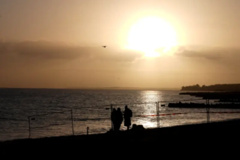 Buckelwal befreit sich nach Rettungsaktion in Timmendorfer Strand - Schwimmt nun in Lübecker Bucht