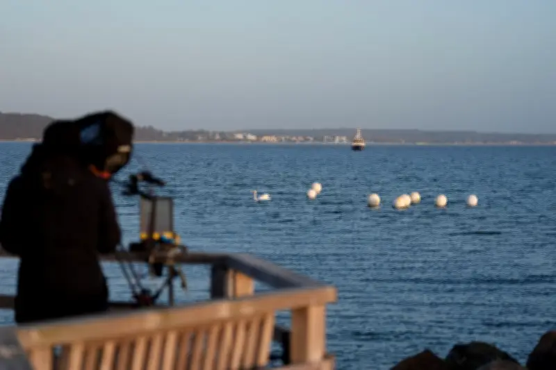 Buckelwal befreit sich nach Rettungsaktion von Ostsee-Sandbank bei Timmendorfer Strand