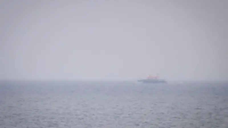 Buckelwal-Sichtung bei Wismar: Experten prüfen Meldungen und suchen aktiv