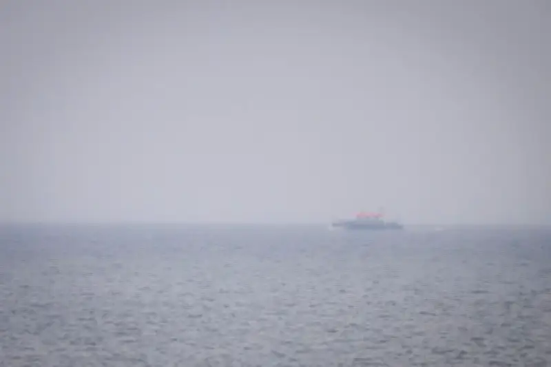 Buckelwal-Suche bei Wismar: Experten prüfen mögliche Sichtung in der Ostsee