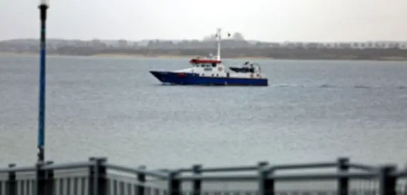 Buckelwal »Timmy« erneut gestrandet: Ostsee-Odyssee nimmt kein Ende