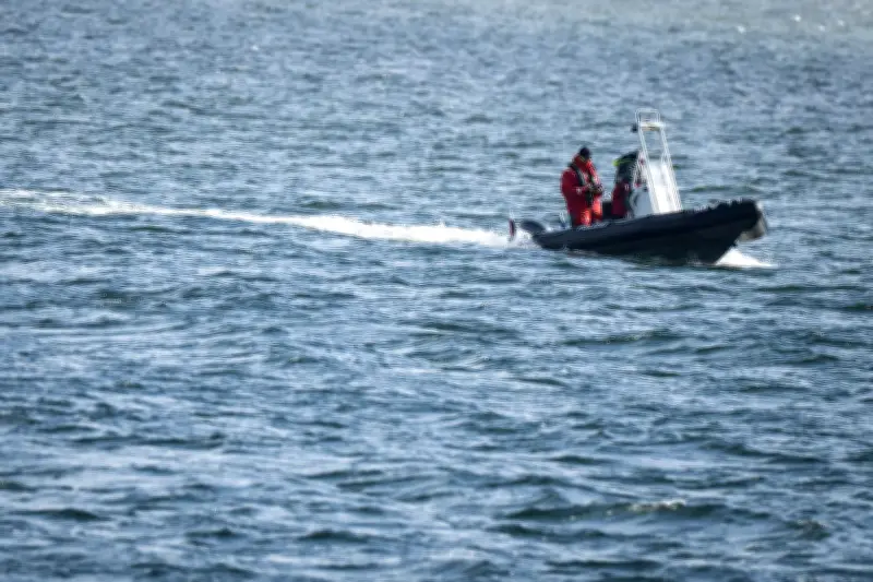 Buckelwal vor Ostseeküste abgetaucht: Suche in der Dunkelheit eingestellt