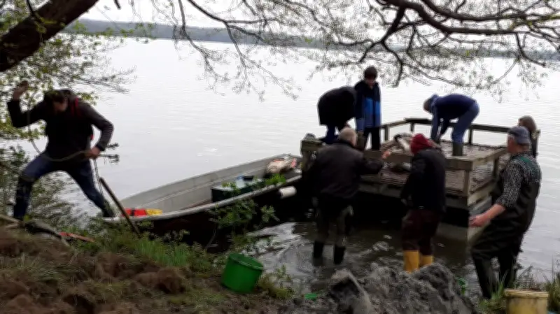 BUND sucht Helfer für künstliche Brutinseln für Flussseeschwalben auf der Lieps
