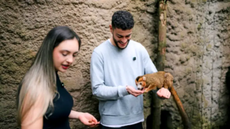 Bundesliga-Star Romulo: Leipziger Stürmer findet Entspannung bei Kronenmakis im Zoo
