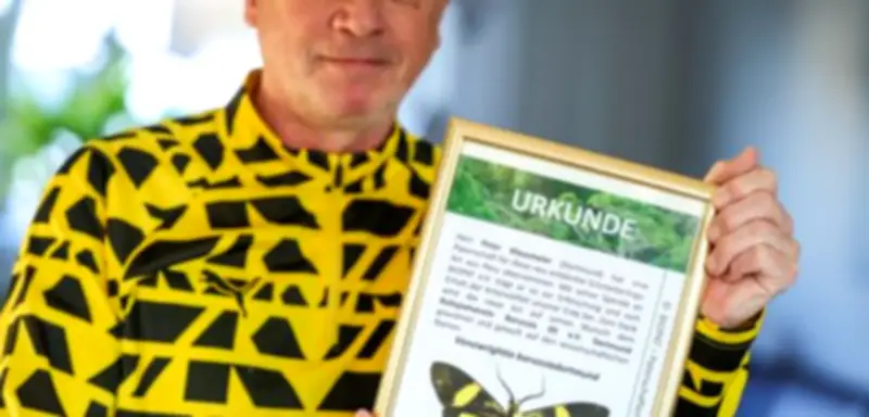 BVB-Fan tauft neu entdeckten Schmetterling in Peru auf den Namen Borussia Dortmund