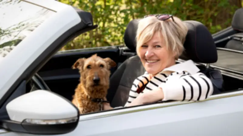 Cabriofahren macht glücklich, doch Verkäufe brechen ein: Warum die Deutschen die Lust auf offene Autos verlieren