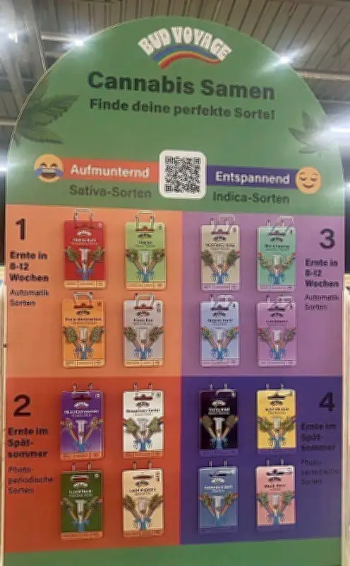 Cannabis-Samen im Dessauer Garten-Center: Experten bewerten Verkauf und rechtliche Rahmenbedingungen