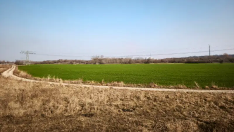 Chemiestandort Leuna-Merseburg plant 200 Hektar Industriegebiet trotz Branchenkrise