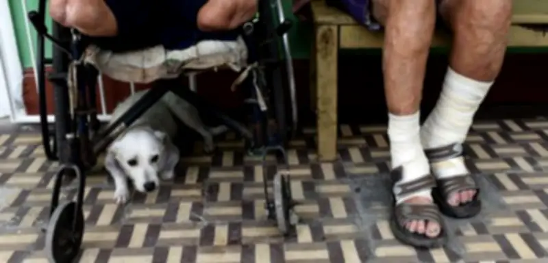 Chile besiegt Lepra: WHO erklärt Land als zweites weltweit für frei von der Krankheit