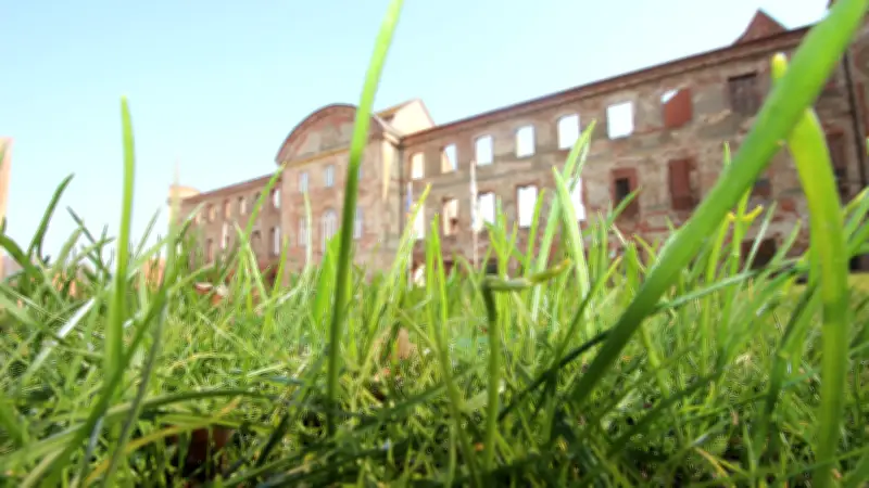 Dargun verwandelt Schlossruinen-Rasen in artenreiche Blühwiesen