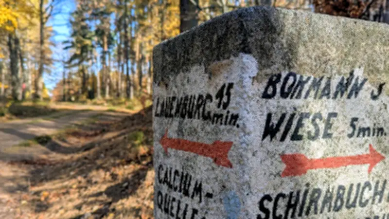Dem Waldwandel auf der Spur: JKI Quedlinburg eröffnet Themenwanderweg im Harz