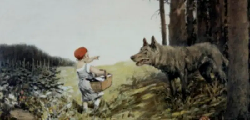 Der gute Wal und der böse Wolf: Warum unsere Tierliebe so selektiv ist