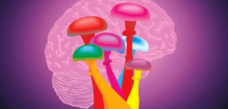 Deutsche Studie: Hochdosiertes Psilocybin lindert schwere Depressionen trotz verfehltem Hauptziel