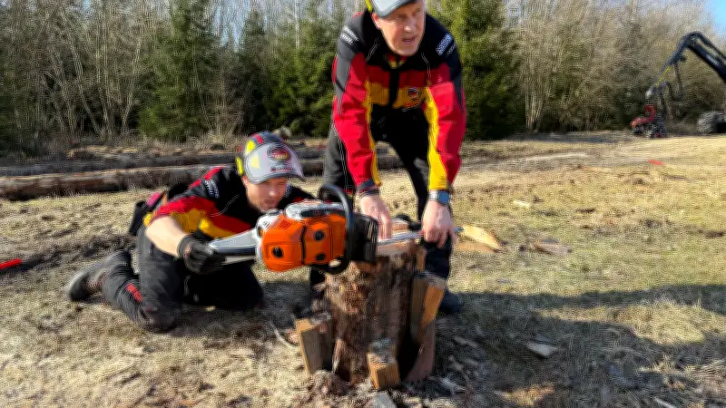 Deutsche Waldarbeiter glänzen bei WM in Slowenien mit Medaillenregen