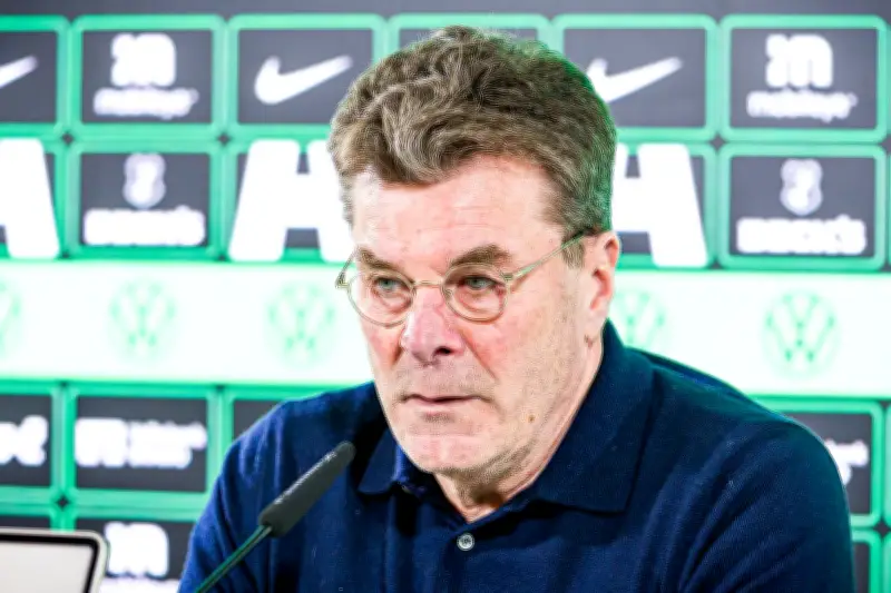 Dieter Hecking kehrt nach Wolfsburg zurück: Rettungsmission mit Vertrag bis Saisonende