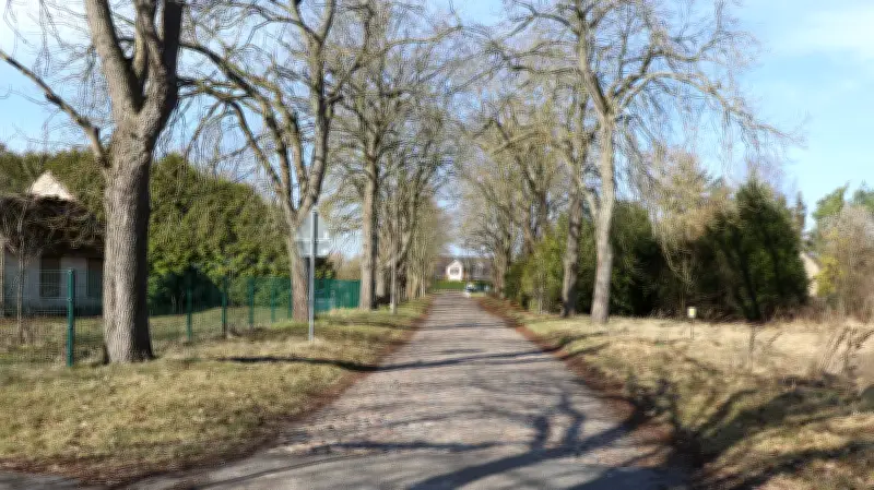 Dorfstraße in Lindenfelde: Stadtausschuss entscheidet sich für schmalere Sanierungsvariante