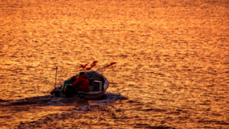 Drama in der Ostsee: Zehn-Meter-Wal in Fischernetz verfangen – Polizei leitet Rettungseinsatz ein
