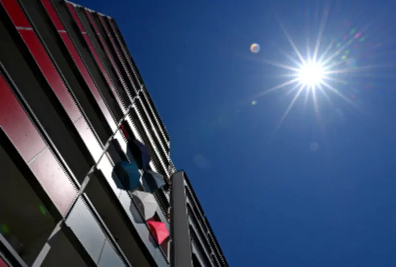 DWD-Prognose: Mehr Hitzewellen in Süd- und Ostdeutschland erwartet