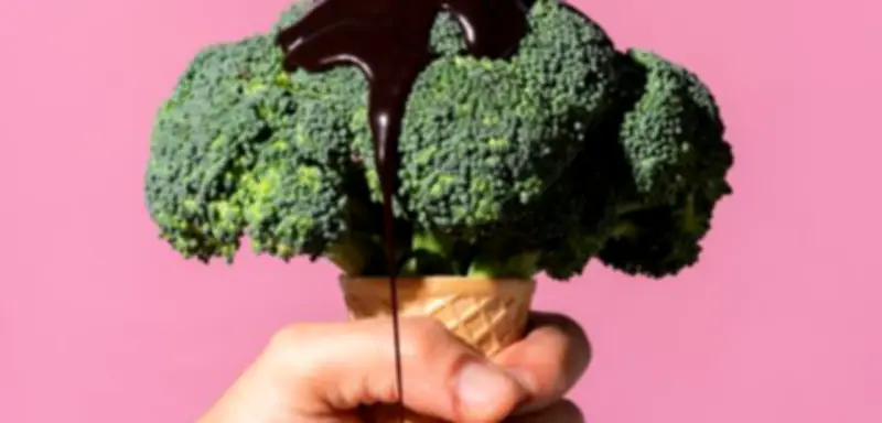 Effilee-Artikel nicht mehr verfügbar: Zugangsbeschränkungen und Abo-Optionen