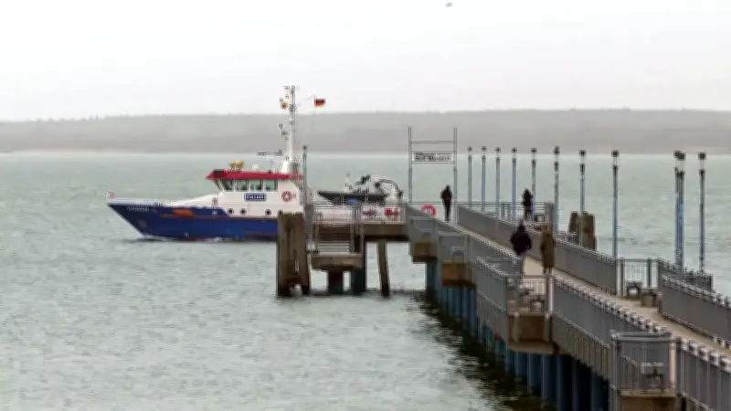 Einsatzkräfte suchen abgetauchten Buckelwal vor Wismar in der Ostsee