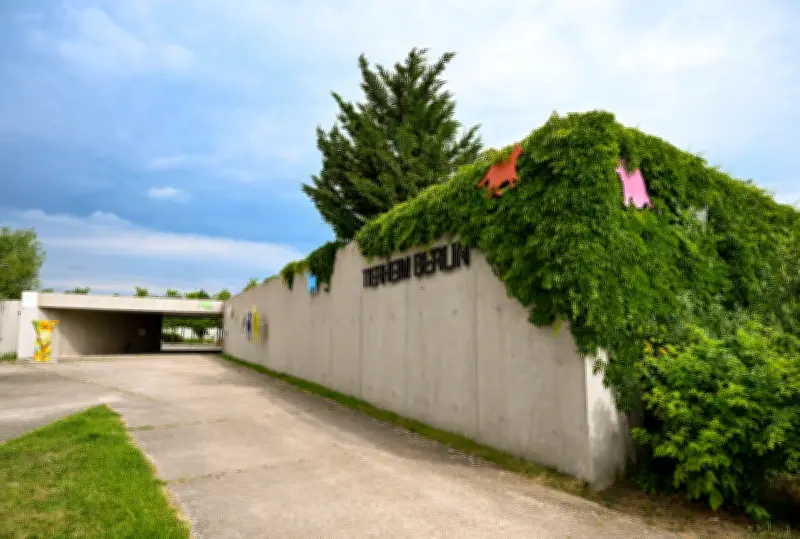 Entwarnung im Berliner Tierheim: Vogelgrippe-Ausbruch nach Graugans-Fund ausgeschlossen