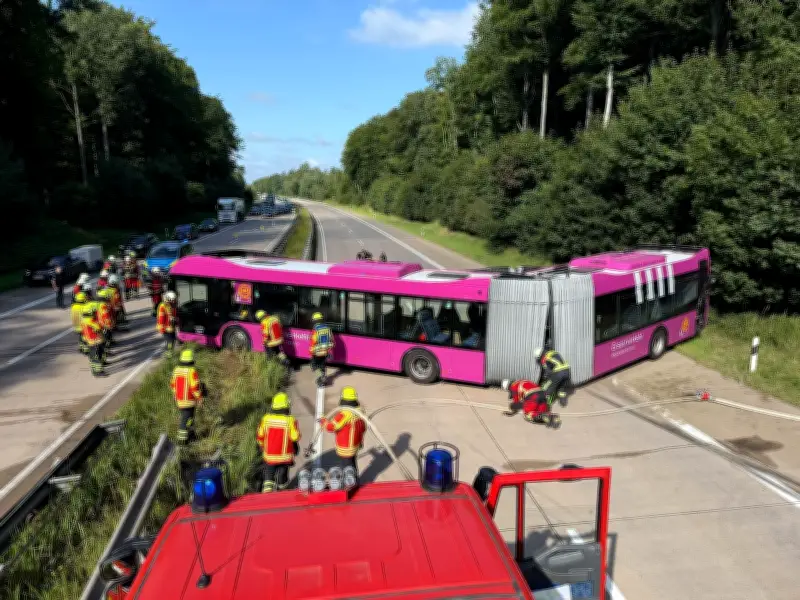 Ermittlungen nach A24-Busunfall eingestellt: Kein technisches oder menschliches Versagen