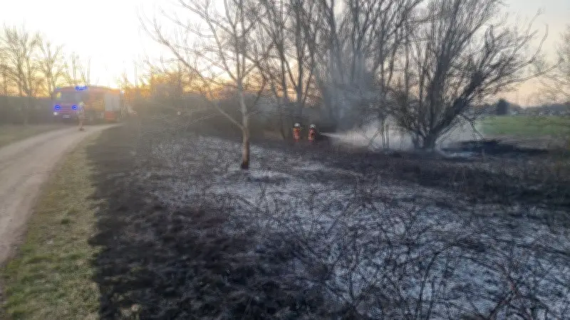 Erneuter Ödlandbrand in Dessau-Törten: Feuerwehr löscht 1.500 Quadratmeter Fläche