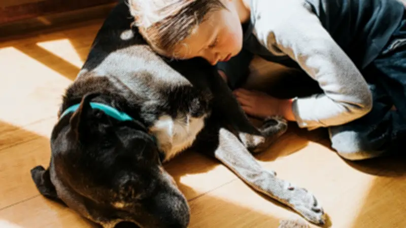 Erste Hilfe beim Hund: Lebensrettende Maßnahmen bei Atemnot und Blutverlust