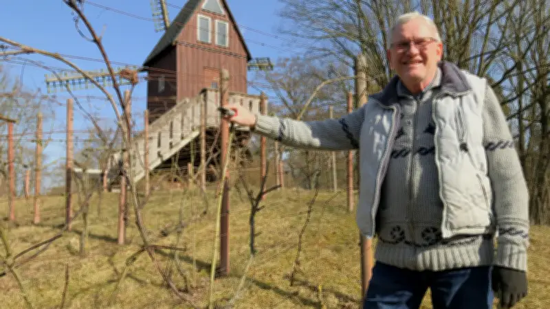 Ex-Pfälzer pflegt historische Reben im Ueckermünder Tierpark-Weinberg
