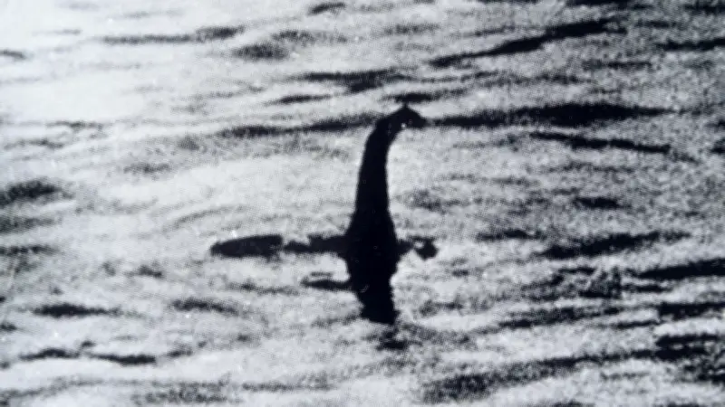 Experte behauptet: Ungeheuer von Loch Ness hat Familie - Ganze Monster-Sippe im See