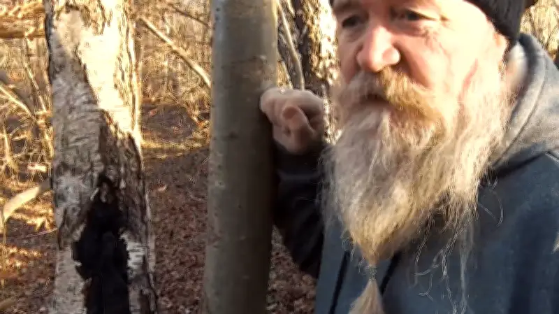 Experte enthüllt: Diese verborgenen Schätze birgt der Winterwald bei Rostock