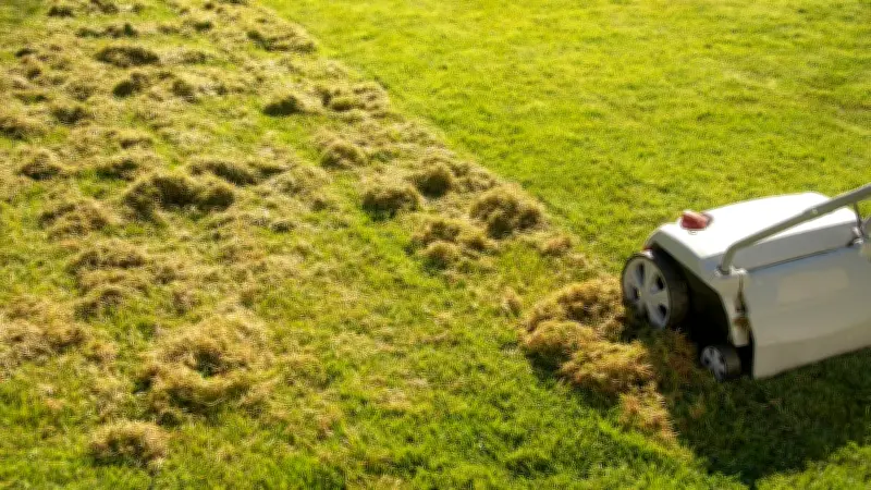 Experte warnt: Rasenvertikutieren im März birgt große Risiken für Ihren Garten