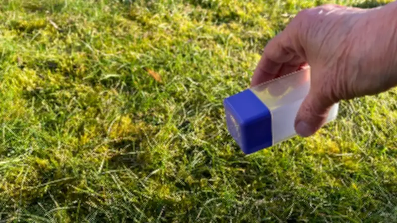 Experten warnen: Salz gegen Unkraut schadet Rasen und Boden nachhaltig