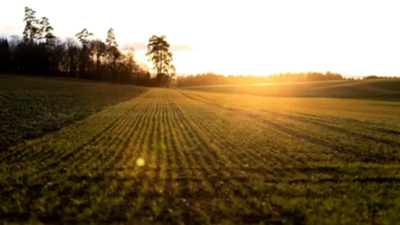 Experten warnen vor Frostgefahr: Früher Vegetationsstart bedroht Obsternte in Deutschland
