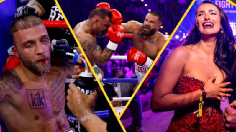 Fame Fighting 3 im Replay: Das Box-Event des Jahres jetzt komplett anschauen