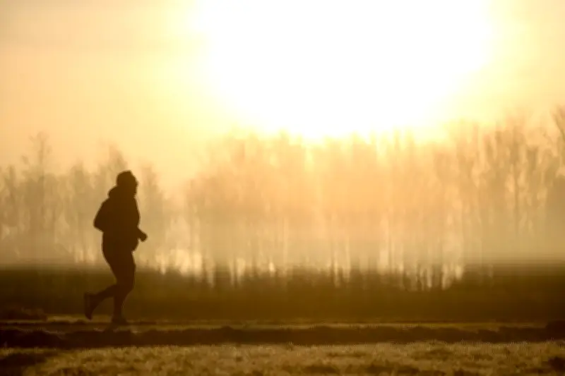 Feinstaub-Alarm in Sachsen-Anhalt: EU-Grenzwerte an 20 von 23 Messstellen überschritten